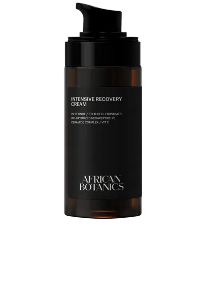 African Botanics Intensive Recovery Cream In Transparent