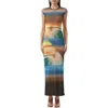 Afrm Cody Print Cap Sleeve Mesh Maxi Dress