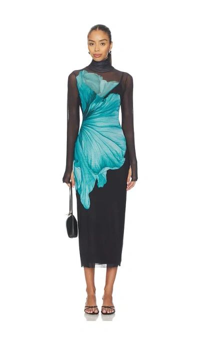 Afrm Shailene È£™å­� Â€“ É�'è‰²èš±. Å°ºç � Xs (also Â€“ 1x, L, M, S, Xl, Xxs). In Multi