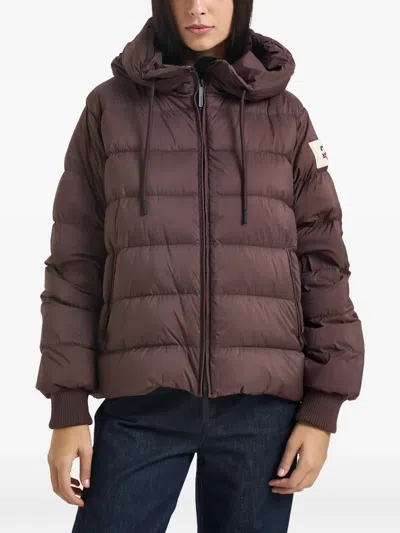 After Label Quilted Hooded Coat In Brown