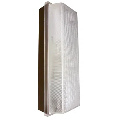 Afx 11" White Finish Led Outdoor Security Wall Light