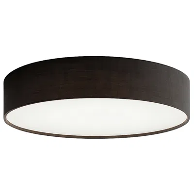 Afx Ashland 19" Wide Black Led Flush Mount