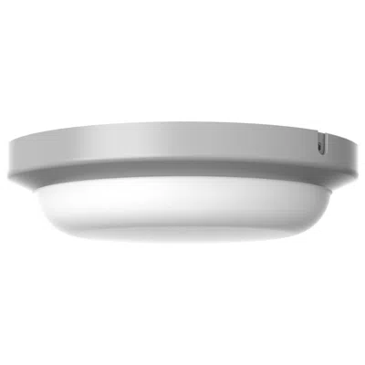 Afx Dean 8" Wide Textured Grey Led Outdoor Flush Mount In White