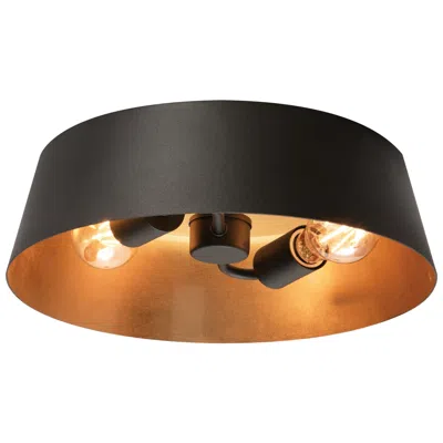 Afx Lyric 14" Wide Black And Gold 2-light Ceiling Light