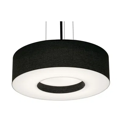 Afx Montclair 12.25" Wide Black Pendant With Black Shade