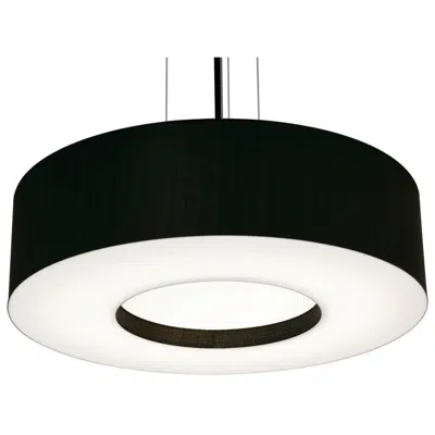 Afx Montclair 19.25" Wide Black Pendant With Black Shade