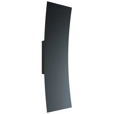 Afx Sadie 18" Outdoor Sconce - Black