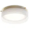 Afx Studio 12" Wide Satin Brass Led Ceiling Flush Mount