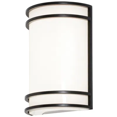 Afx Ventura 10" High Black Led Outdoor Wall Sconce In Multi