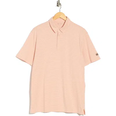 Ag Bryce Stripe Jersey Polo In Pink