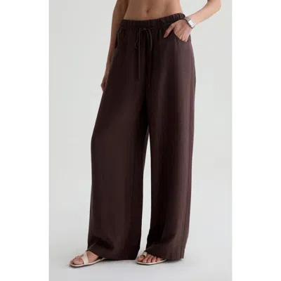 Ag Century Drawstring Pants In Brown
