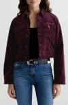 Ag Isa Crop Velvet Trucker Jacket In Burgundy