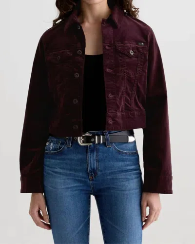 Ag Isa Velvet Cropped Trucker Jacket In Winery In Brown