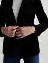 Ag Rue Pinstripe Velvet Blazer In Black