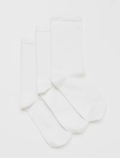 Ag Ryland Sock Pack In Essential True White