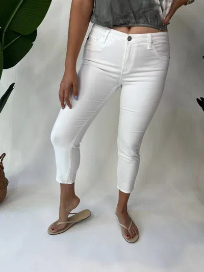 Ag Prima Crop In White