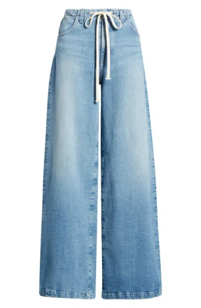 Ag Stella Wide Leg Drawstring Pants In Sincerely