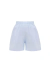 Ag Studio Baby Blue Linen Shorts