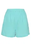 Ag Studio Neon Blue Linen Shorts