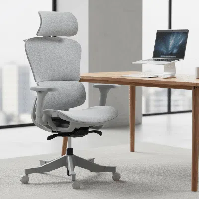 Agah Ergonomic Office Chair With Adjustable Height & Lumbar Support Breathable Mesh, Smooth Rolling Caste In Gray