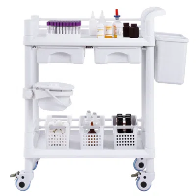 Agaile 2 Tiers Lab Carts, Lab Utility Cart With 2 Trays, 2 Drawers & 4 Silent Wheels, Mobile Medical Cart W In White
