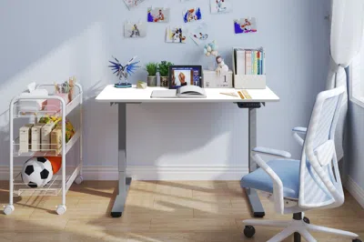 Agaile Electric Standing Desk Adjustable Height Desk Home Office Computer Workstation Sit Stand Up Desk,dua In White