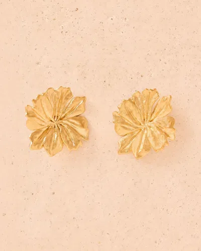 Agapée Adonis Earrings In Gold