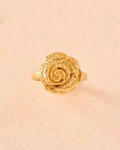 Agapée 54156757631302 In Gold