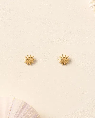 Agapée Solé Stud Earrings In Gold
