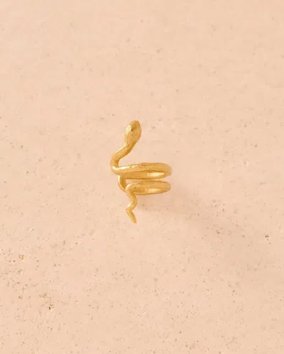 Agapée 8635517960518 In Gold