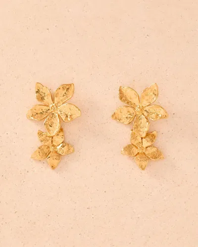 Agapée Thalla Earrings In Gold