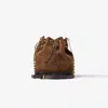 Agcf Women's Brown Savoy Bucket Bag Chocolate Suede In Brown