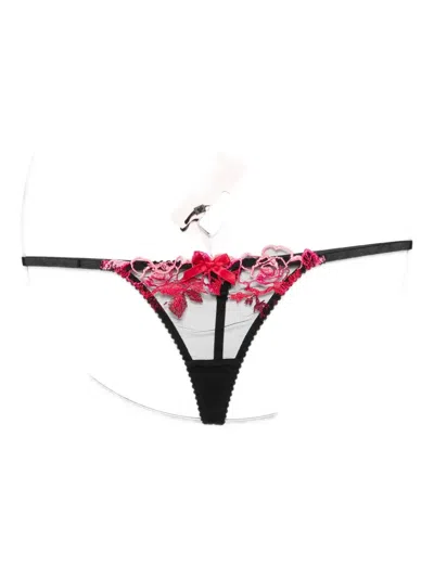 Agent Provocateur Callypso Floral-embroidered Thong In Black