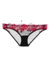Agent Provocateur Callypso Rose-embroidered Briefs In Black