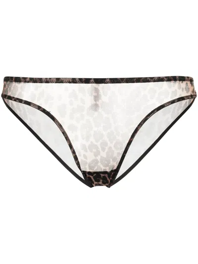 Agent Provocateur Lucky Leopard-print Brief In Animal Print