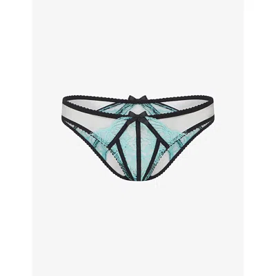 Agent Provocateur Womens Mint/black Rozlyn Mesh And Lace Bikini Briefs Xxl In Multi
