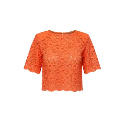Aggi By Halewski Women's Fibi Sun Orange Lace Top Blouse In Black