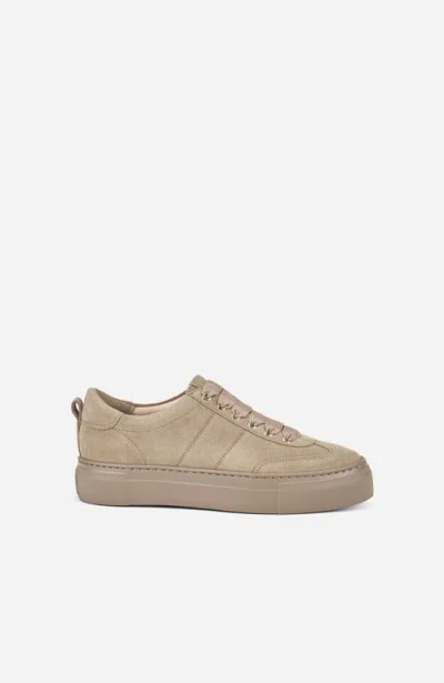 Agl Attilio Giusti Leombruni Cecilia Grosgrain-lace Sneakers In Brown