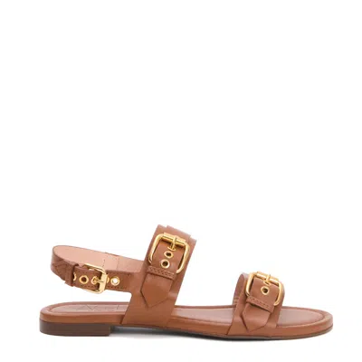 Agl Attilio Giusti Leombruni Agl Low Cuoio Sandals With Gold Buckles In Brown