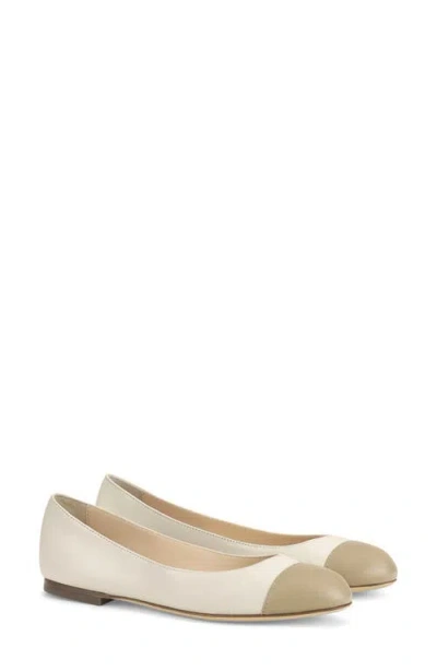 AGL ATTILIO GIUSTI LEOMBRUNI AGL MILLY CAP TOE FLAT