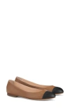 Agl Attilio Giusti Leombruni Agl Milly Cap Toe Flat In Nero-cocoa