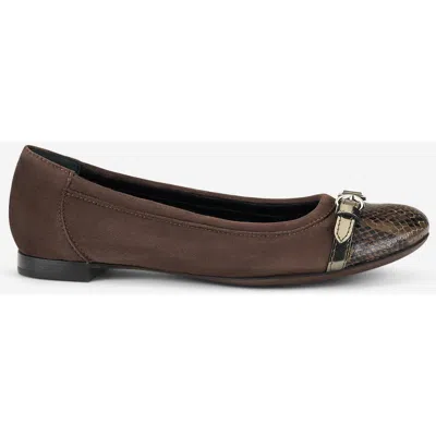 Agl Attilio Giusti Leombruni Agl Monika Cap Toe Ballet Flat In Brown