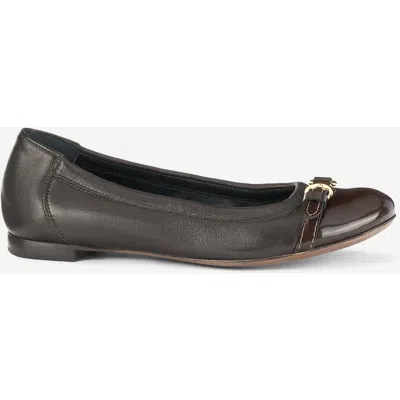 Agl Attilio Giusti Leombruni Agl Monika Cap Toe Ballet Flat In Brown
