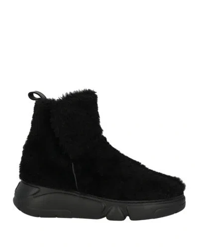 Agl Attilio Giusti Leombruni Agl Woman Ankle Boots Black Size 8 Shearling