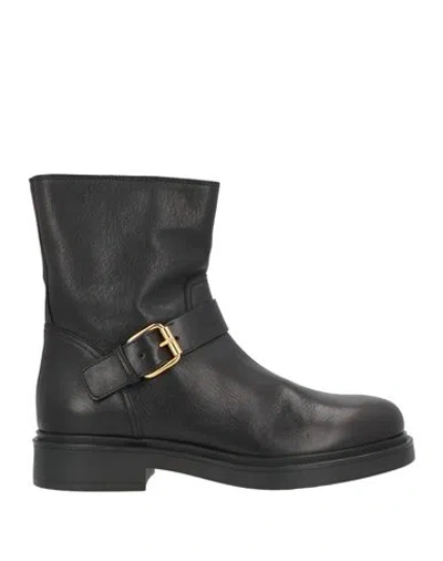 Agl Attilio Giusti Leombruni Agl Woman Ankle Boots Black Size 9 Leather