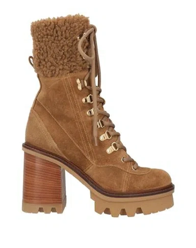 Agl Attilio Giusti Leombruni Agl Woman Ankle Boots Camel Size 7 Leather, Shearling In Beige