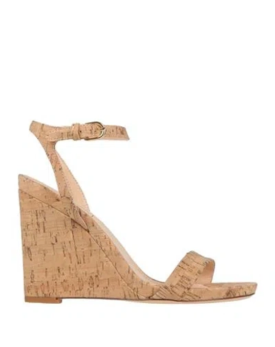 Agl Attilio Giusti Leombruni Agl Woman Mules & Clogs Brown Size 6 Cork