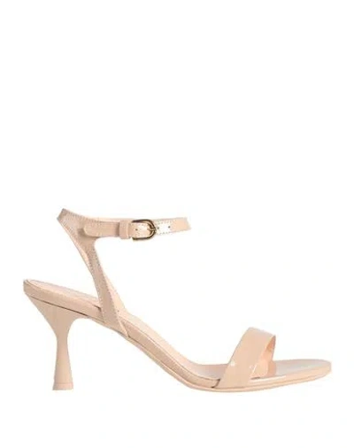 Agl Attilio Giusti Leombruni Buckled 75mm Leather Sandals In Pink