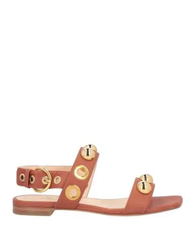 Agl Attilio Giusti Leombruni Agl Woman Sandals Brown Size 6 Leather