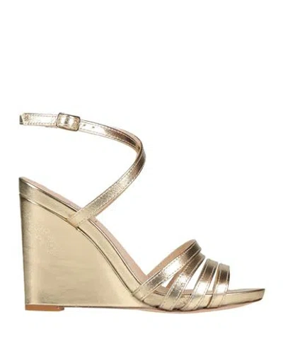 Agl Attilio Giusti Leombruni Agl Woman Sandals Gold Size 8 Leather